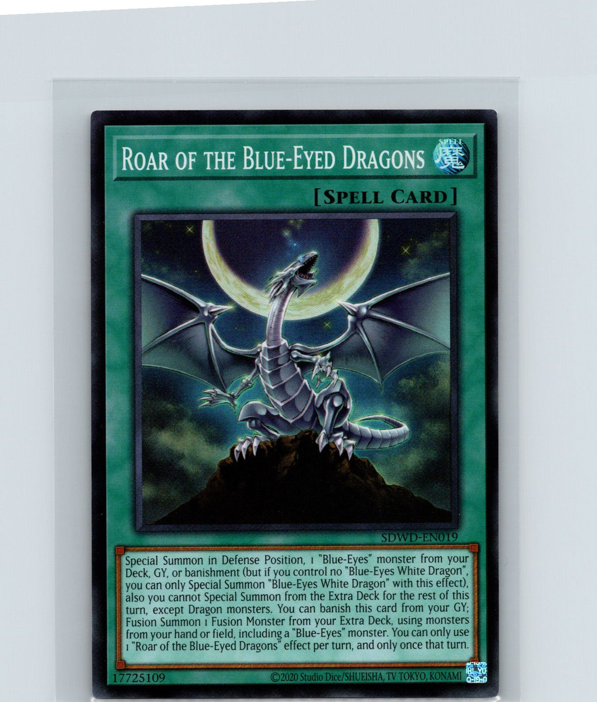 Roar of the Blue-Eyed Dragons Unlimited Super Rare y SDWD-EN019 NM