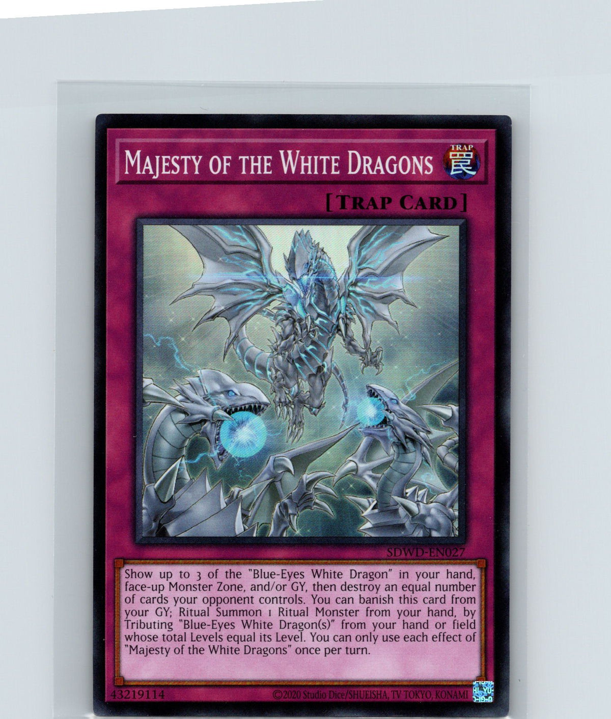 Majesty of the White Dragons Unlimited Super Rare SDWD-EN027 NM