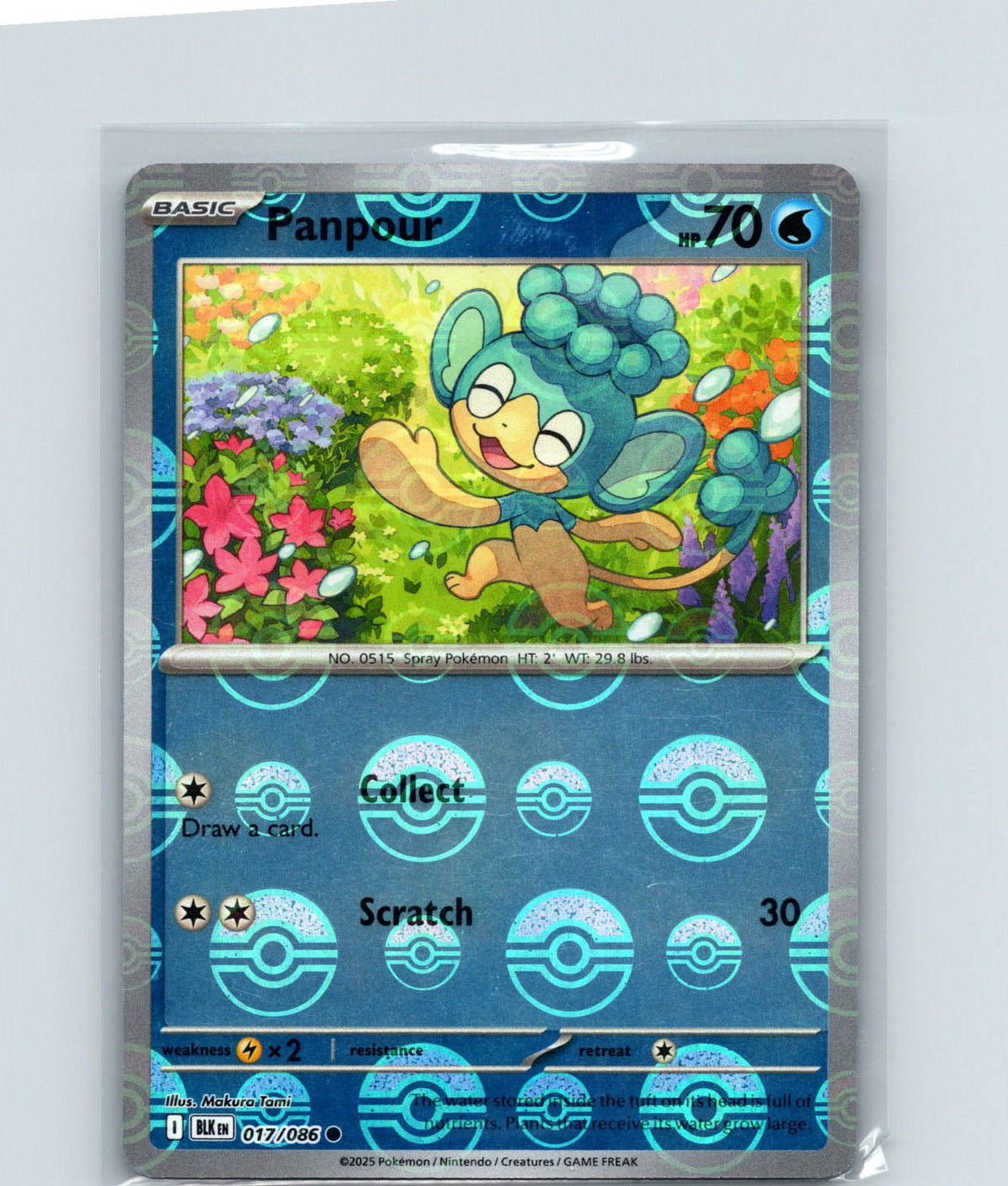 Panpour Holo Common SV: Black Bolt 017/086 NM