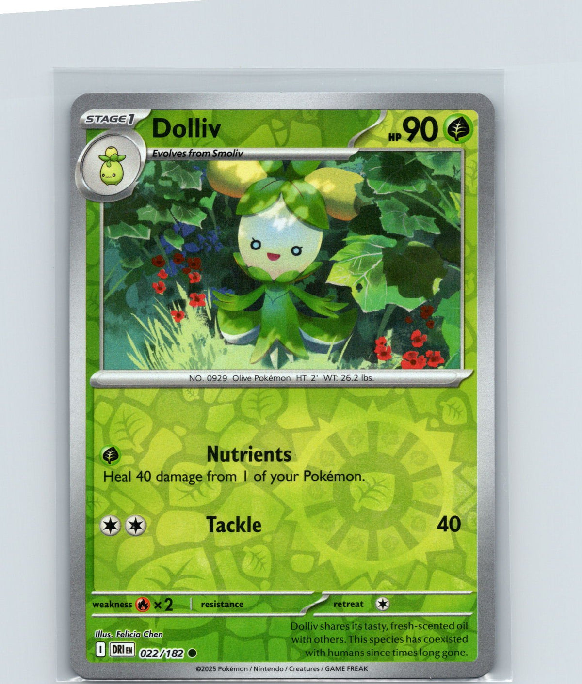 Dolliv Reverse Holo Common SV10: Destined Rivals 022/182 NM
