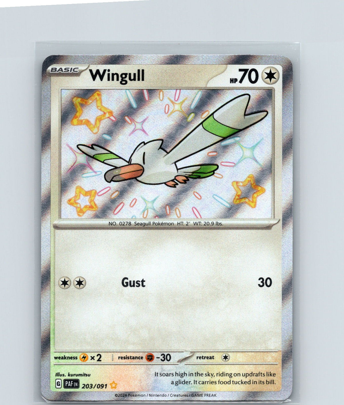 Wingull Holo Shiny Rare SV: Paldean Fates 203/091 NM