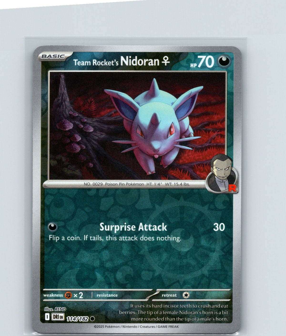 Team Rocket's Nidoran F Reverse Holo Common SV10: Destined Rivals 114/182 NM