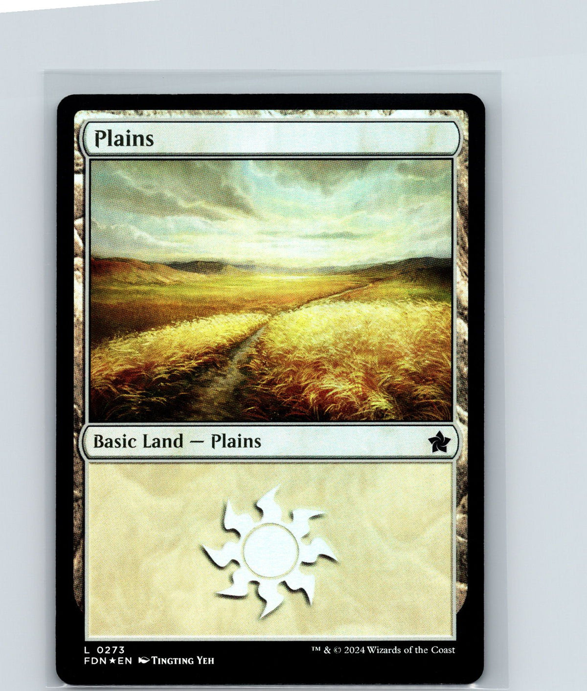 Plains Foil L Foundations 273 NM