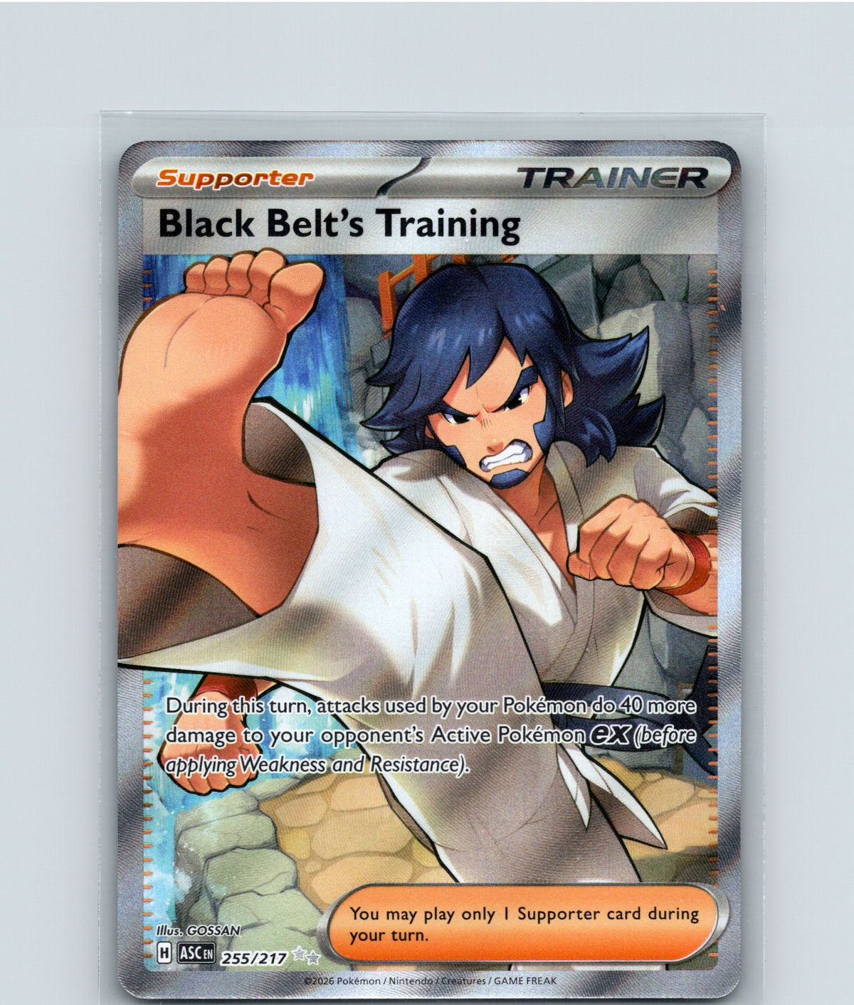Black Belt's Training Holo Ultra Rare ME: Ascended Heroes 255/217 NM