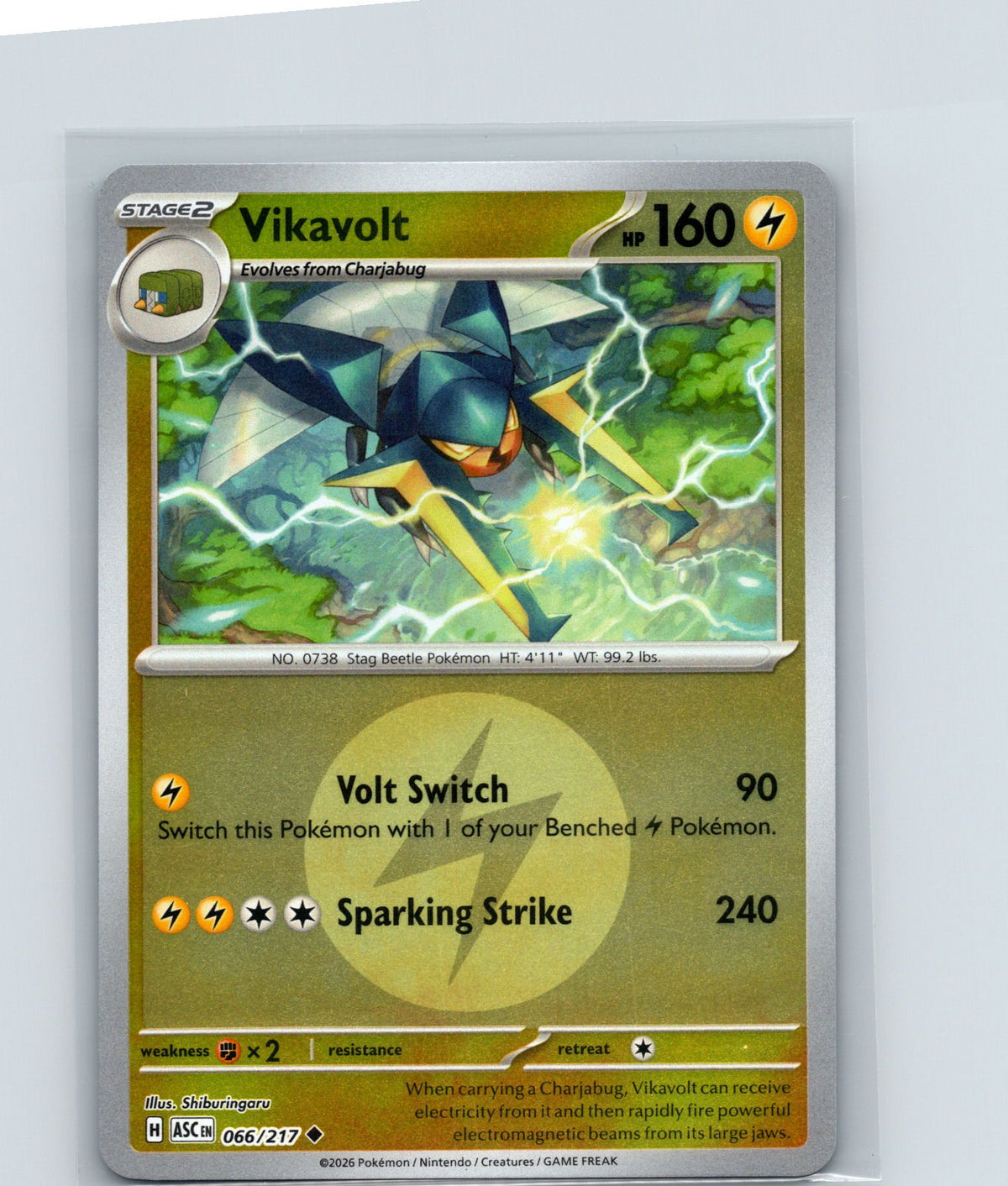 Vikavolt (Energy Symbol Pattern) Reverse Holo Uncommon 066/217 NM