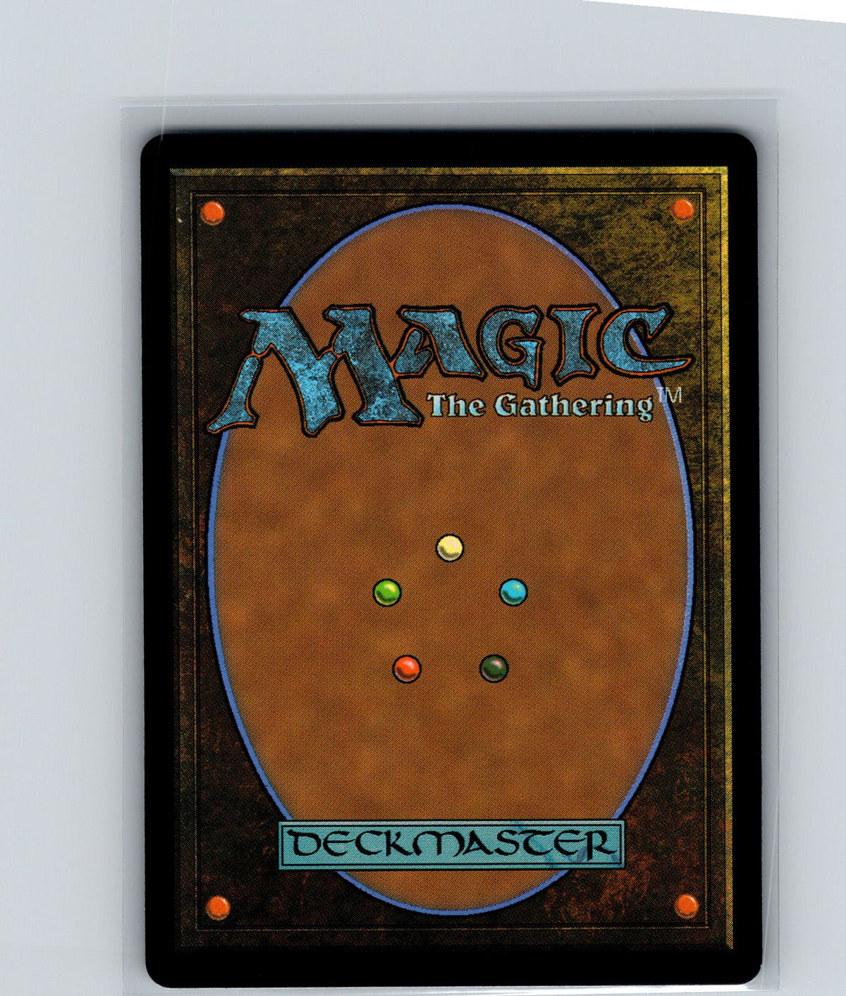 Campus Guide Foil C Foundations 251 NM