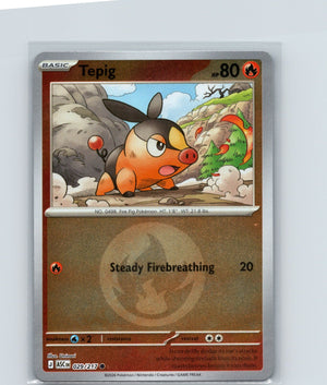 Tepig (Energy Symbol Pattern) Reverse Holo Common ME: Ascended Heroes 029/217 NM