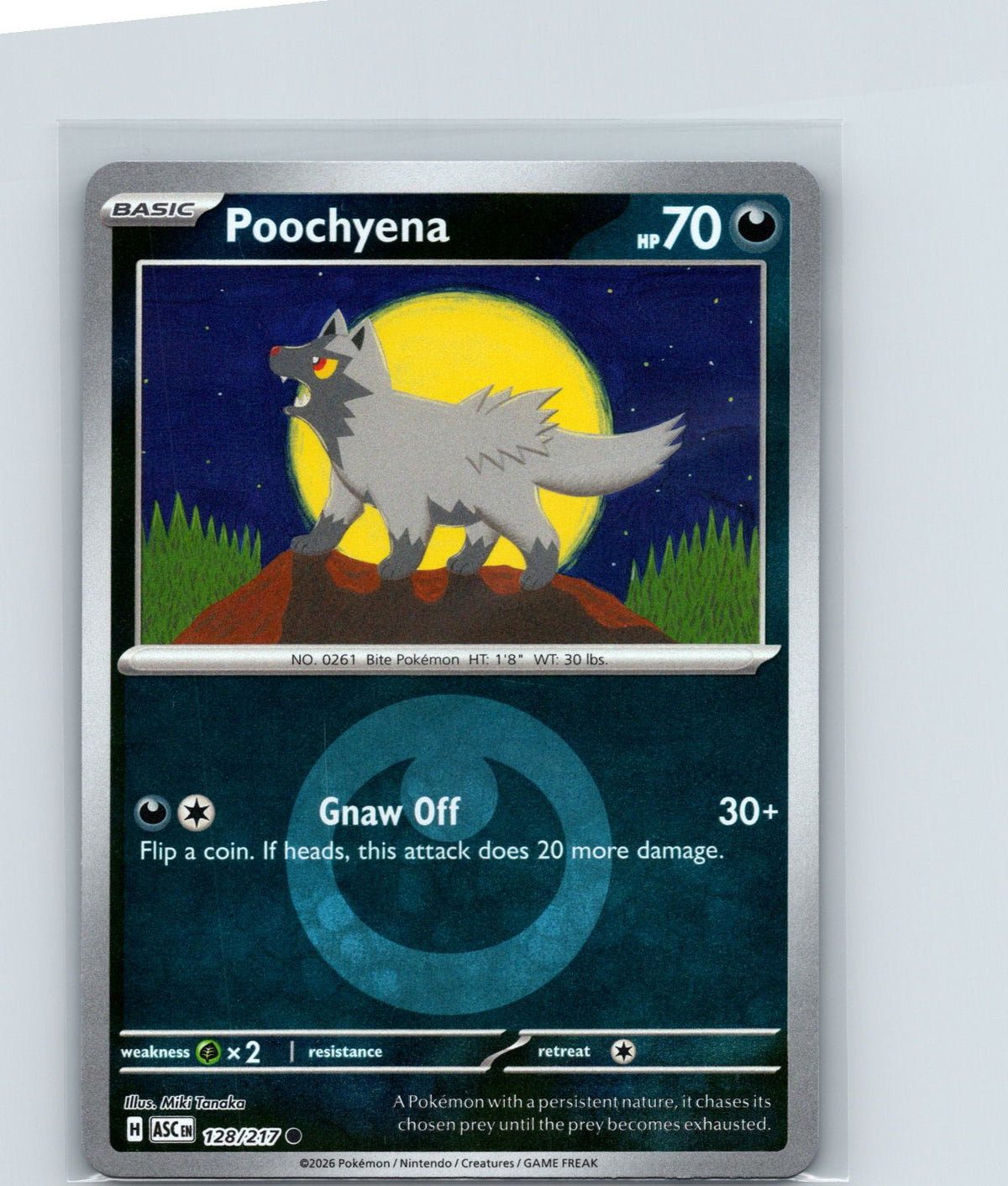 Poochyena (Energy Symbol Pattern) Reverse Holo Common 128/217 NM