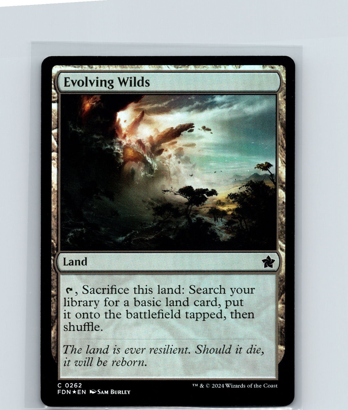 Evolving Wilds Foil C Foundations 262 NM