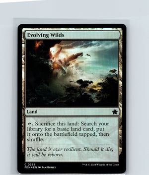 Evolving Wilds Foil C Foundations 262 NM