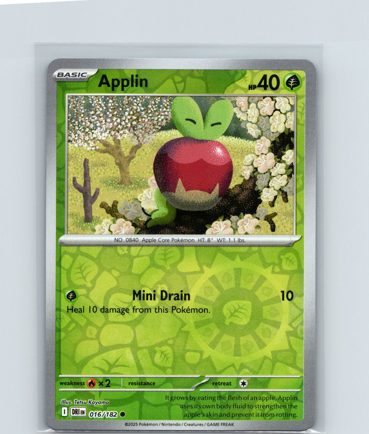 Applin Reverse Holo Common SV10: Destined Rivals 016/182 NM