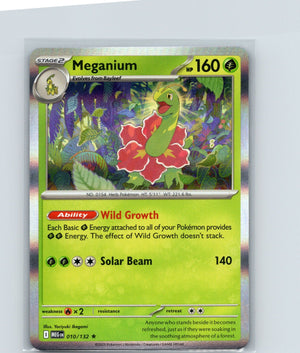 Meganium Holo Rare ME01: Mega Evolution 010/132 NM