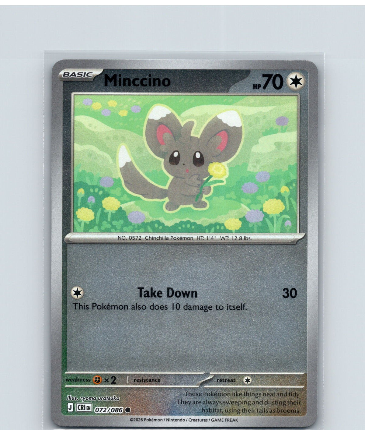 Minccino Common ME04: Chaos Rising 072/086 NM