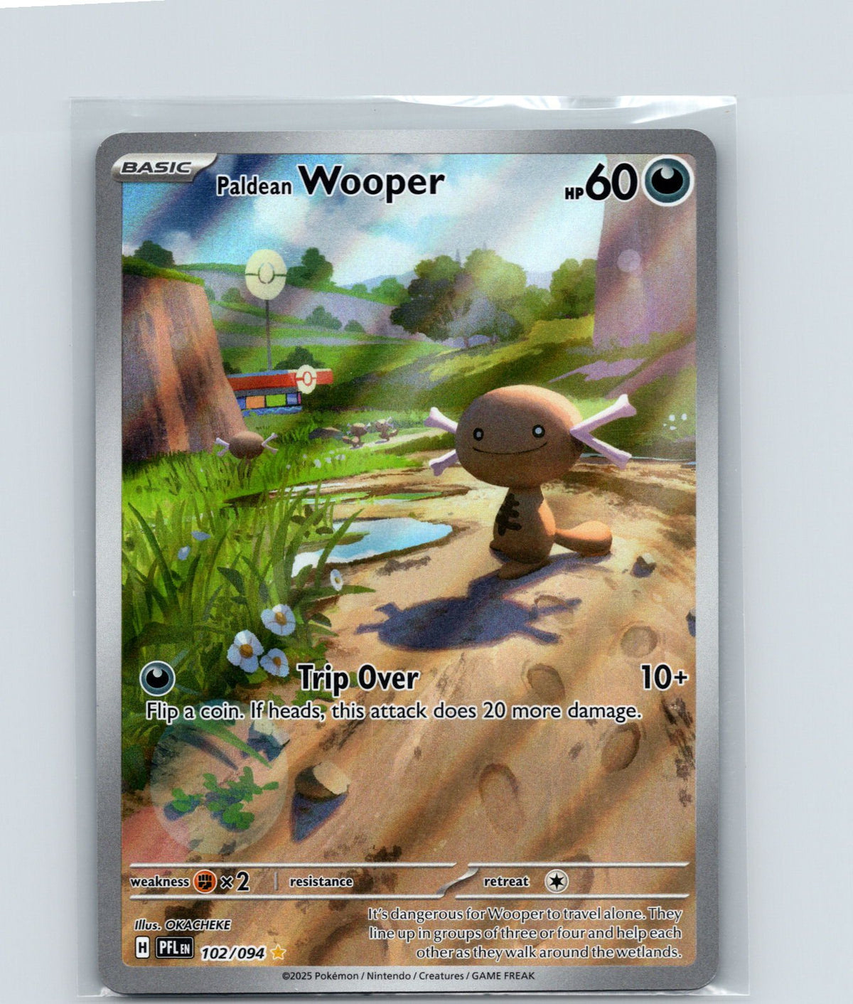 Paldean Wooper Holo Illustration Rare ME02: Phantasmal Flames 102/094 NM