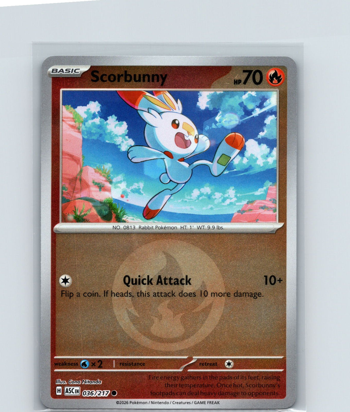 Scorbunny (Energy Symbol Pattern) Reverse Holo Common NM