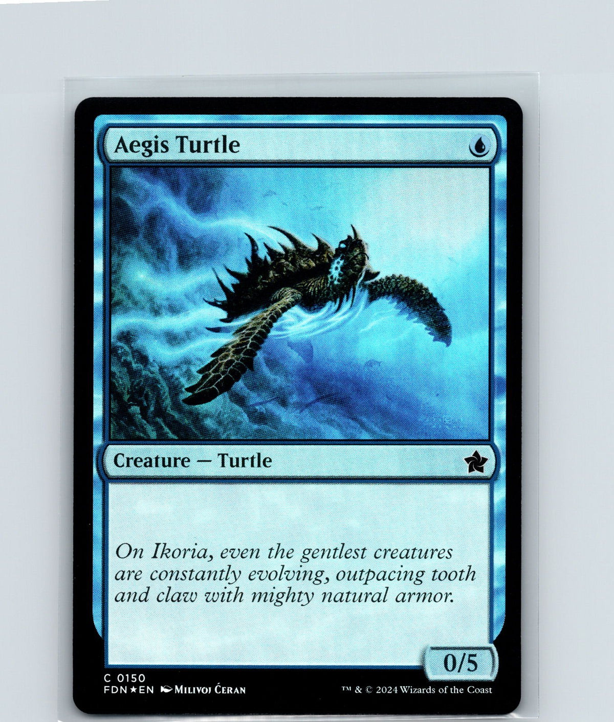 Aegis Turtle Foil C Foundations 150 NM