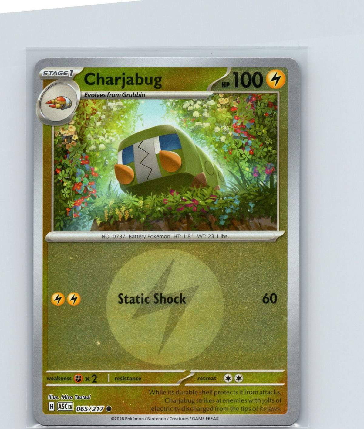 Charjabug (Energy Symbol Pattern) Reverse Holo Common 065/217 NM