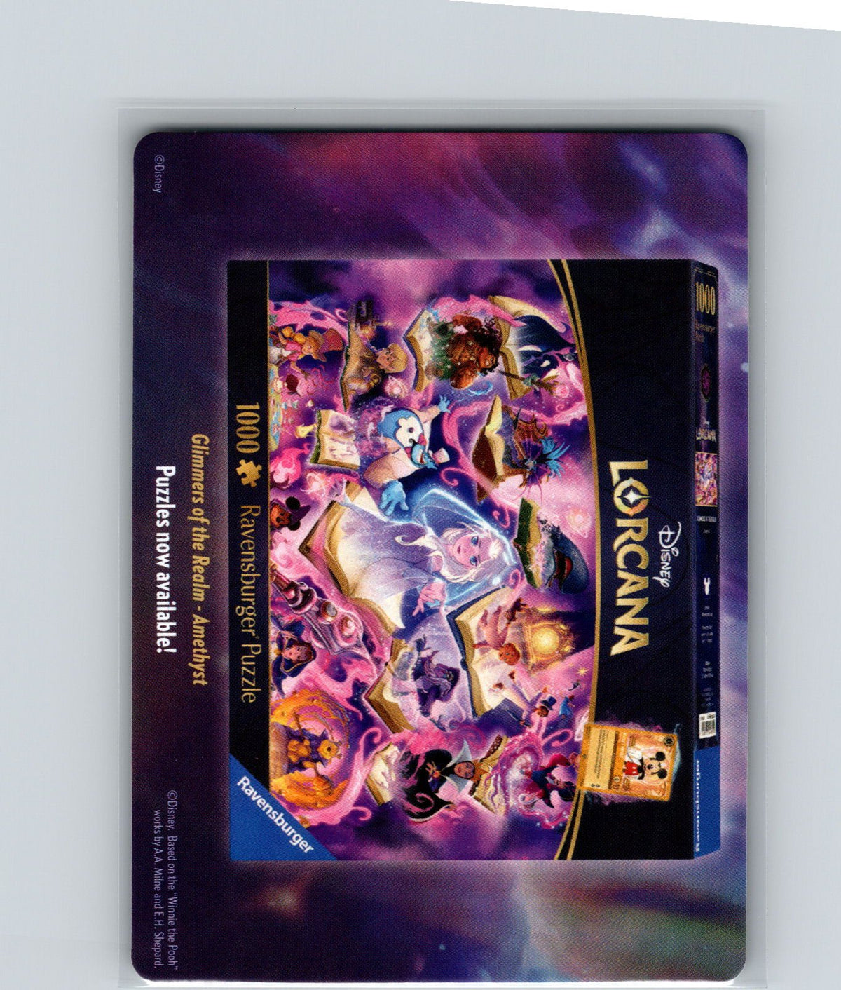 Wilds Unknown Puzzle Insert (Bottom Right) Wilds Unknown NM