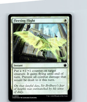 Fleeting Flight Foil C Foundations 13 NM