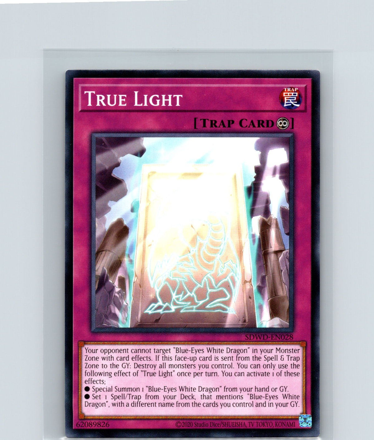 True Light Unlimited Common SDWD-EN028 NM